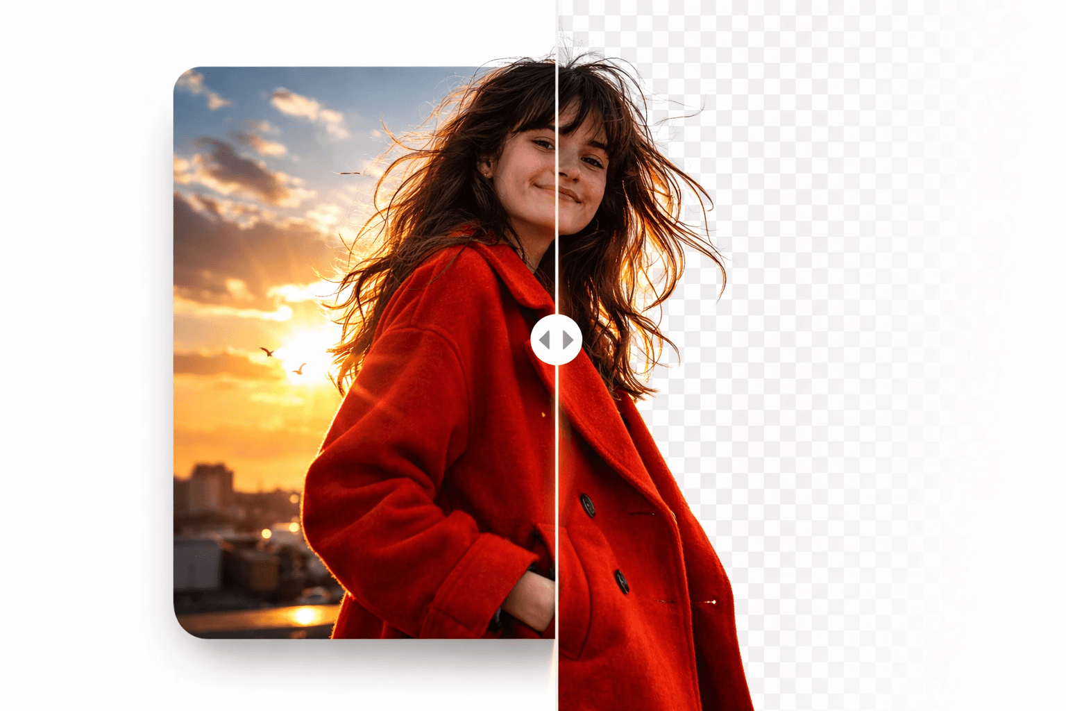 Piknova AI Background Remover preview